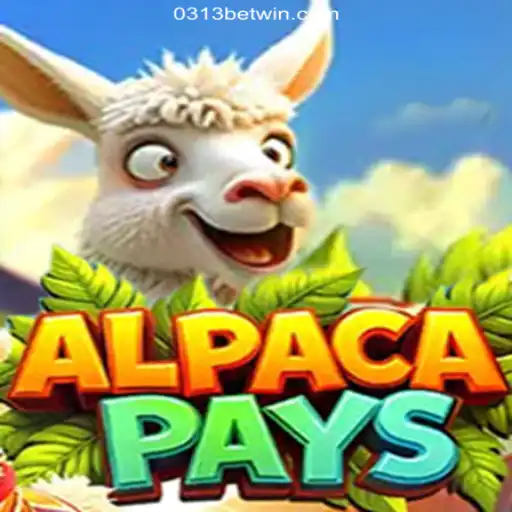Discovering AlpacaPays: An Engaging Experience with 0313bet, Brazil's Leading Betting Platform